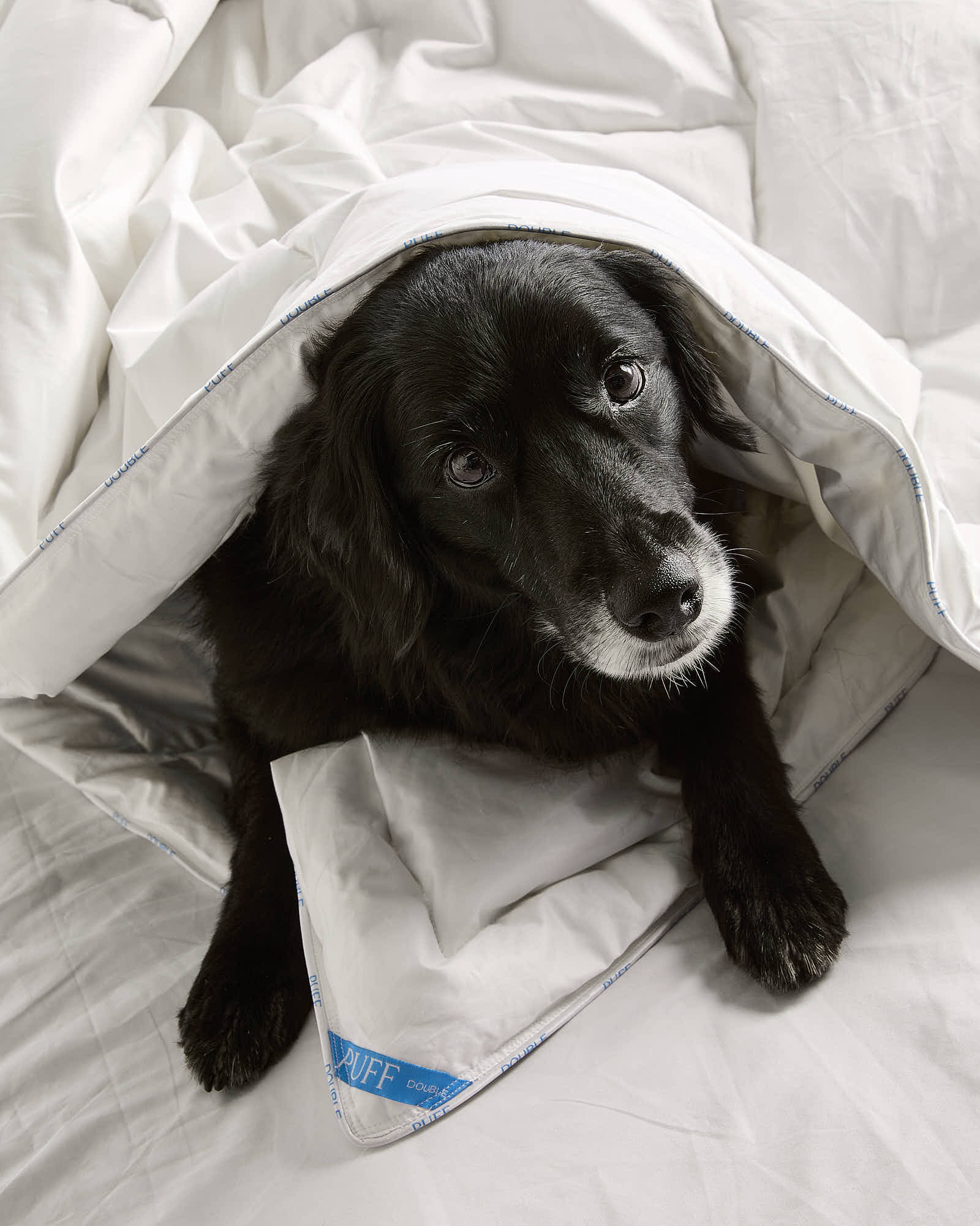 DOUBLE (LIGHT) DOONA