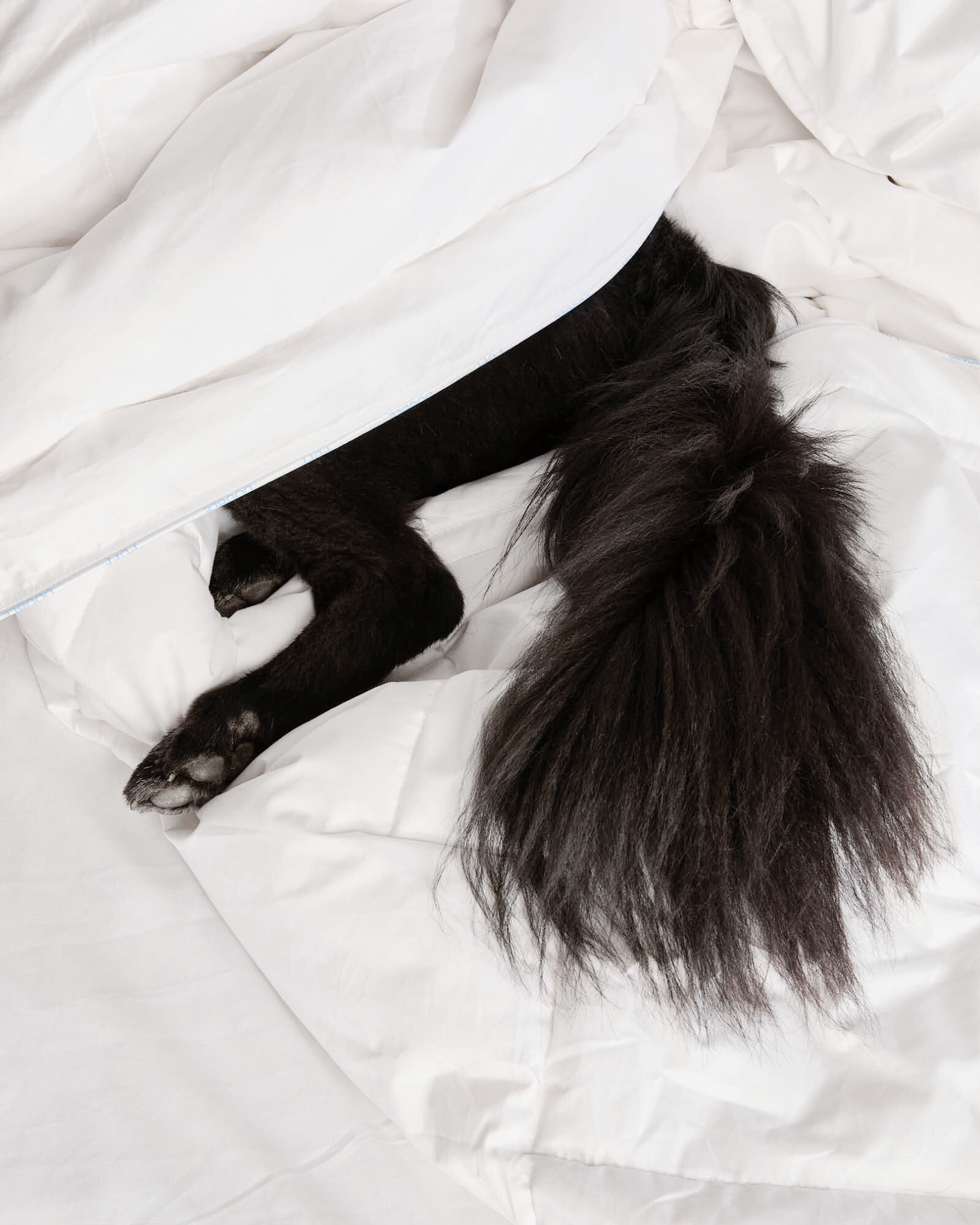 DOUBLE (LIGHT) DOONA