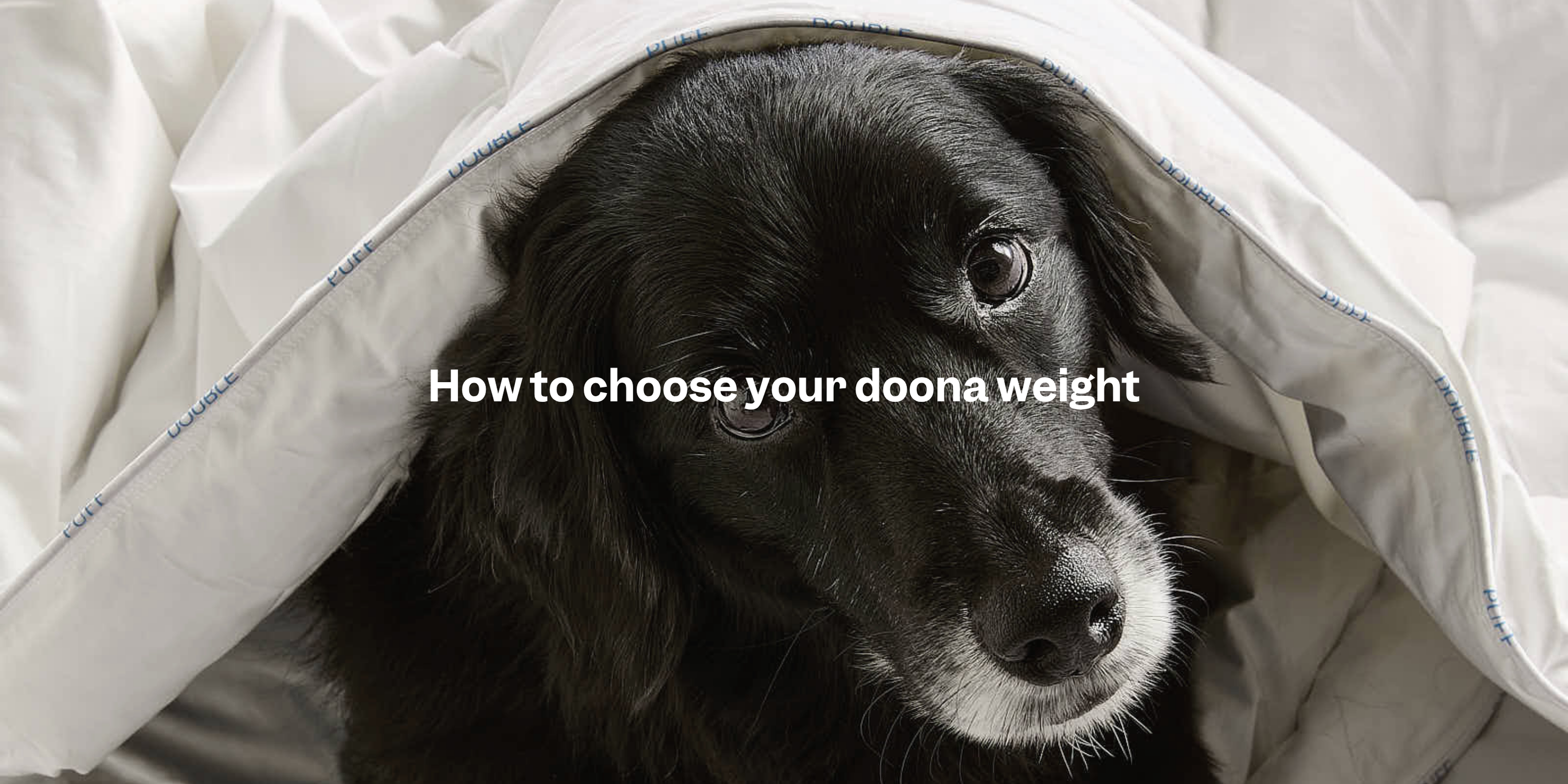 How to Choose Your Doona Weight: Warm vs Light Guide