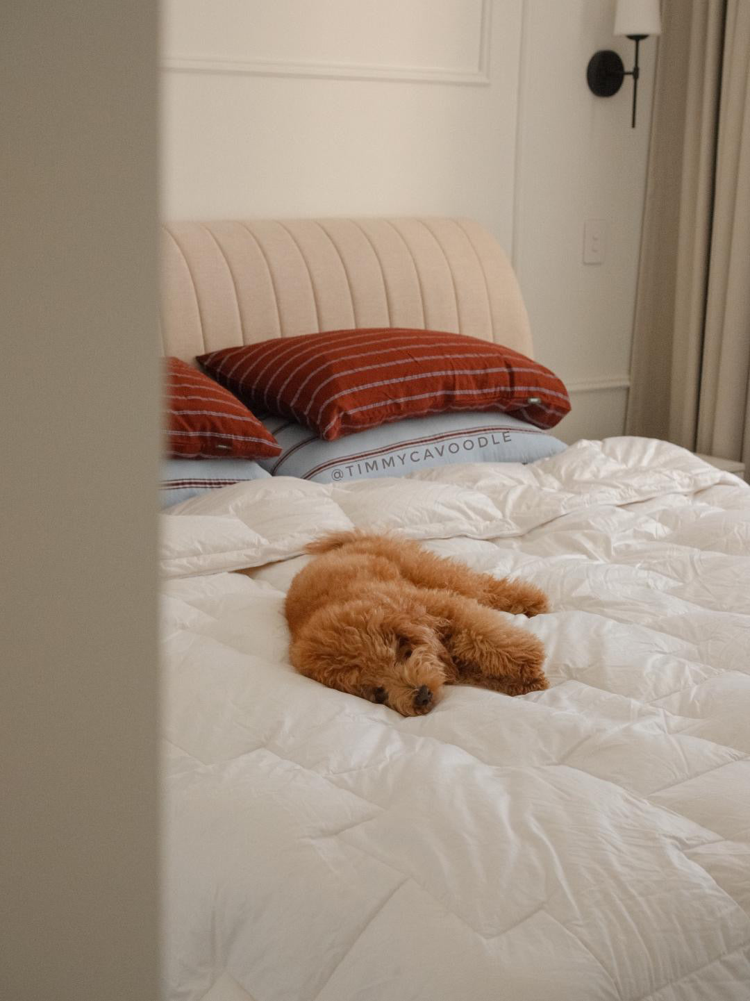 QUEEN (WARM) DOONA